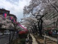 /album/tokyo-current/a108-harimazaka-slope-jpg/